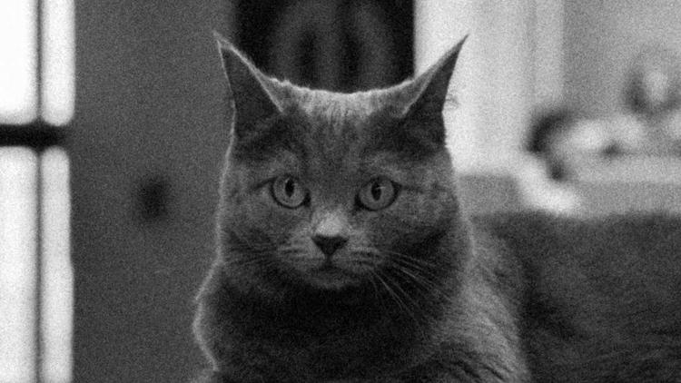 GROWTH MARKETING & DATA