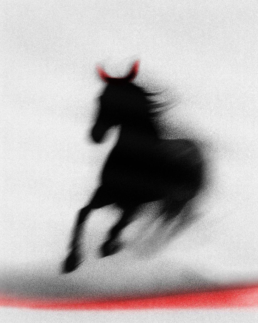 Motion Design & Animation